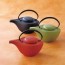 Beautiful! Japanese IWACHU Modern Tea Pot