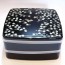 Japanese Lacquer Bento Box, food container
