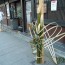 Varieties of Unique Kadomatsu