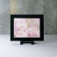 Japanese Cherry Blossom China Frame
