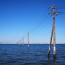 Utility Poles in Tokyo Bay