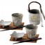 Japanese Sake Cups and Ice Bucket Set