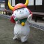 Hikonyan the Samurai Cat Picked as the Most Popular Mascot in France