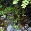 Natural Spring Water in Tokyo