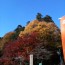 Special Report: Viewing Autumnal Leaves in Takao (with gift)