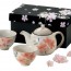Japanse Teapot & Cups Set nippon pottery sakura cherry