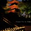 [Photoblog] Illumination in Okadera Temple