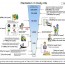 Easy Lecture of Radiation Problem in Japan and Radiation Level in Tokyo