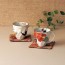 Japanese Pair Mug Cups and Coaster Set