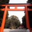 Shrine Gate “Torii” Variations in Japan