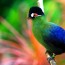 Matsue Vogel Park – Flowers and Birds Garden –