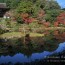 [Photoblog] Autumn Reflection