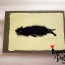 Japanese Washi Paper: greeting card (cat)