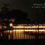 [Photoblog] Todaiji Temple and its Reflection at Night