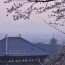 [Photoblog] View from Mt. Wakakusa