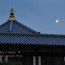[Photoblog] Yakushiji Temple and Moon
