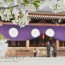 [Photoblog] Omiwa Shrine in Spring