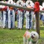 [Photoblog] Yukata Girls and a Dog♪