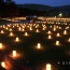 [Photoblog] Illumination of Nara Tokae Festival
