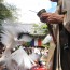 [Photoblog] Dove Release at Kichiden-ji Temple