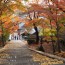 [Photoblog] Yuga Shrine in Late Autumn
