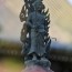 [Photoblog] Statue of Fudomyo-o