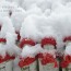 [Photoblog] Statues in Heavy Snow