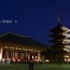 [Photoblog] Illuminated Kofuku-ji Temple at Night