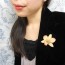 Super CUTE!!! Glass Coating Fresh Flower Brooch Pin Orchid