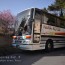 [Photoblog] Early Spring Coach Tour at Nishi-no-kyo