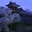 [Photoblog] Sakura and Yamatokoriyama Castle