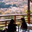 [Photoblog] Superb View of Yoshino