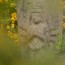[Photoblog] Stone Statue of Buddha