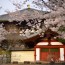 [Photoblog] Little Break in Front of Temple