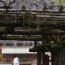 [Photoblog] Kasuga Taisha Shrine and Wisteria