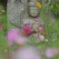 [Photoblog] Stoblogne Statue in Hannya-ji Temple