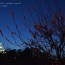 [Photoblog] Osaka Castle and Plum Blossoms