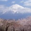 Create Your Own “Cool” Mt. Fuji!