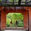 [Photoblog] Red Gate and Wisteria