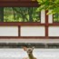 [Photoblog] Deer Resting at Todai-ji Temple