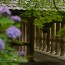 [Photoblog] Stairway of Hase-dera Temple