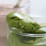 Most Luxurious Green Tea Pudding of Japan